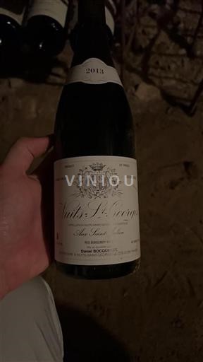 Burgund Nuits-Saint-Georges Daniel Bocquenet Aux Saint Julien 2013
