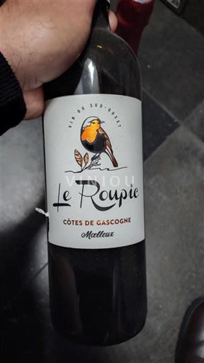 Sud-Ovest Côtes de Gascogne Le Roupic Senza annata