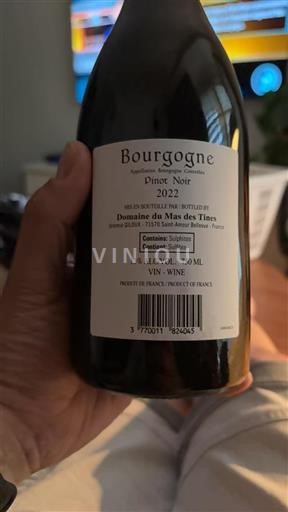 Borgonha Domaine Mas des Tines Pinot Noir 2022