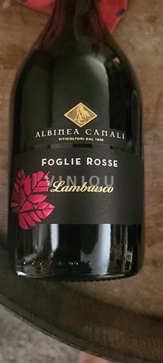 Emilia-Romagna Wines Lambrusco Albinea Canali Foglie Rosse Non-Vintage