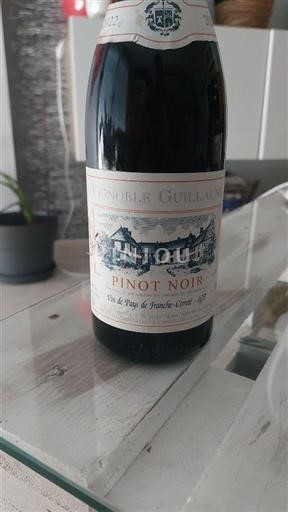 Régions de l'Est Franche-Comté Vignoble Guillaume Pinot noir vielles vignes 2022