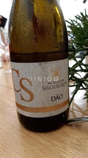 Portugal Dão. Morgado de Silgueiros Sin añada