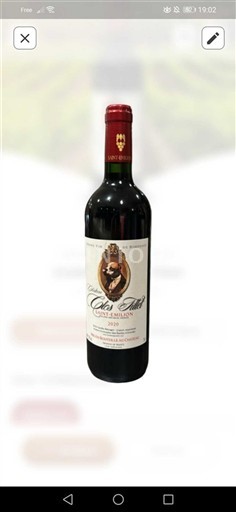 Bordeaux Saint-Émilion Grand Cru Clos Trimoulet 2020