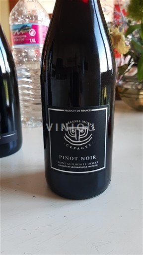 Languedoc-Roussillon Saint-Guilhem-le-Désert Les Déesses Muettes Cépages 2024