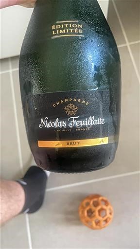 Champagne Nicolas Feuillatte Édition Limitée Brut Non-Vintage
