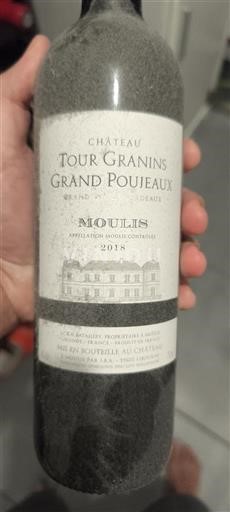 Burdeos No especificado Château Tour Granins Grand Poujeaux 2018