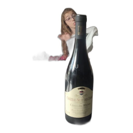 Thung lũng Rhône Côtes-du-rhône Château Nuit des Dames 2024