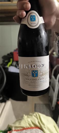 Burgund Mâcon und Mâcon-Dörfer Cave de Lugny Les Epillets 2020