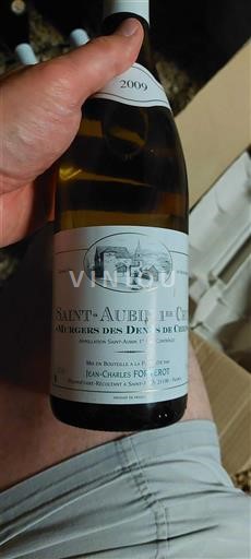 Bourgogne Ospecificerad Premier Cru Jean-Charles Fagot Murgers des Dents de Chien 2009
