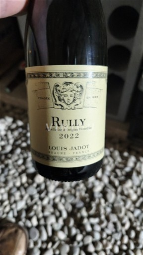 Borgoña Rully Premier Cru Louis Jadot 2022