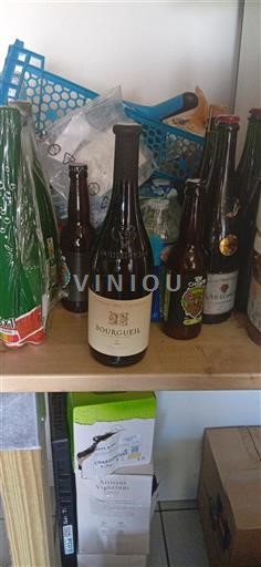 Valle del Loira Bourgueil Domaine Des Fontenys Vieilles Vignes 2021