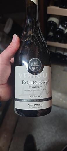 Burgundy Agnes Paquet 2022