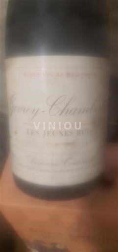 Bourgondië Gevrey-Chambertin Domaine Tortochot Les Jeunes Rois 1999