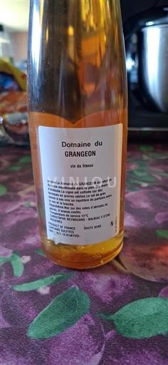 Valle del Rodano Côtes-du-Rhône Domaine Grangeon Senza annata
