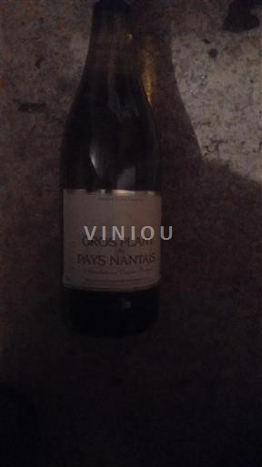 Valea Loarei Gros-plant-du-pays-nantais Gros Plan du Pays Nantais Nemilésimat