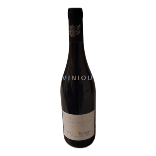 Loirevallei Saint-Nicolas-De-Bourgueil Les 3 Terroirs 2023 2023