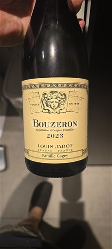 Borgonha Louis Jadot 2023