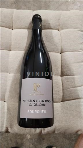 Valle del Loira Bourgueil Domaine Les Pins Les Rochettes 2023