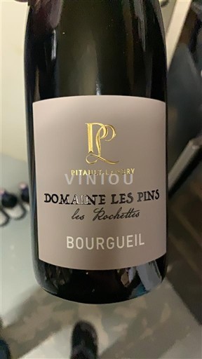 Vallée de la Loire Bourgueil Domaine Les Pins Les Rochettes 2023