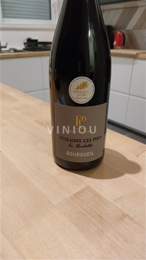 Thung lũng sông Loire Bourgueil Domaine Les Pins Les Rochettes 2023