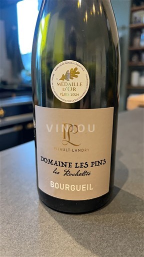 Vallée de la Loire Bourgueil Domaine Les Pins Les Rochettes 2023