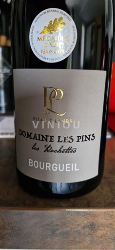 Valle del Loira Bourgueil Domaine Les Pins Les Rochettes 2023