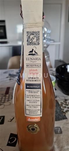 Abruzzerna Ospecificerad Lunaria Ancestrale 2024