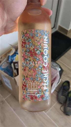 Languedoque Não especificado Domaine La Provenquière Péché Coquin Não Sazonado