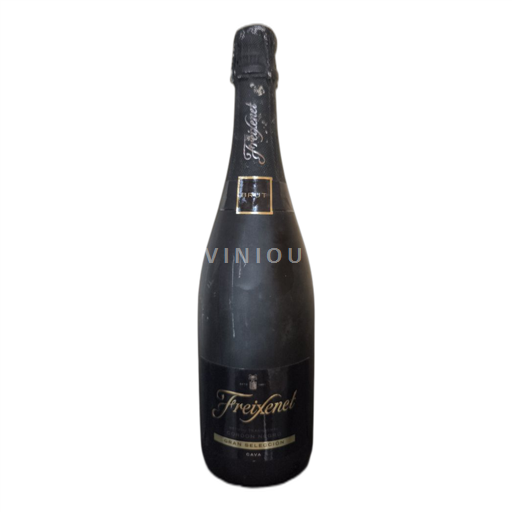 Catalogna Freixenet Senza annata