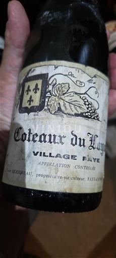 Loire Valley Coteaux-du-Layon Village Faye Non-Vintage