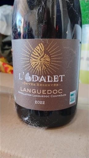 Vin Rouge sec Cuvée Réservée L'Odalet 2022 France Languedoc AOC