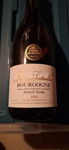 Burgundy Terres Secrètes Les Sentinelles 2020