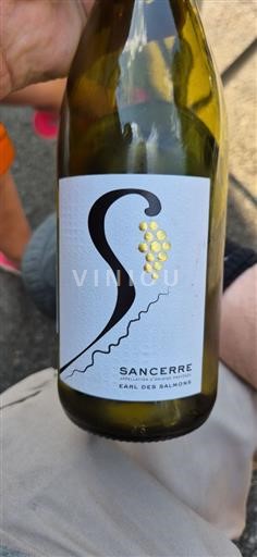Loiredalen Sancerre EARL des Salmons 2023