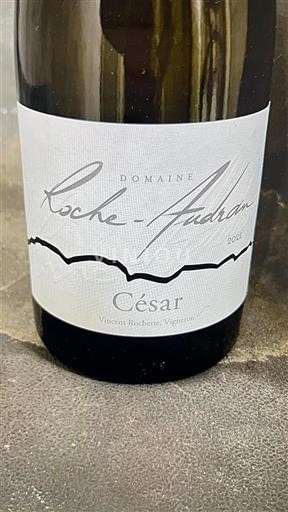 Valle del Ródano No especificado Domaine Roche-Audran César 2021
