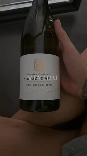 Dolina Loare Sancerre Georges Millérioux Les Collinots Neleten.