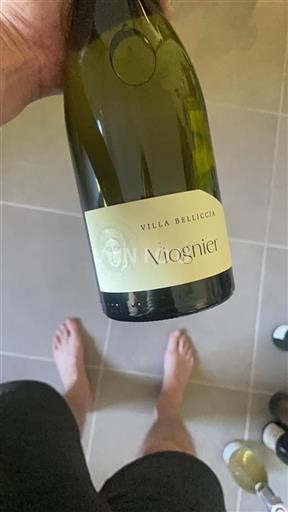 Dolina Loare Dunaj Villa Belliccia Viognier Neleten.