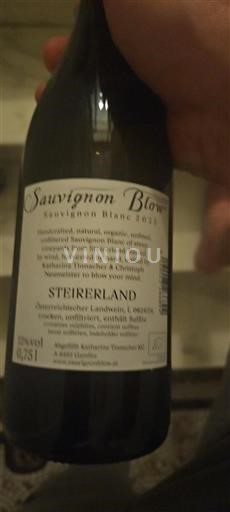 Steiermark Không được chỉ định Katharina Tinnacher Sauvignon Blanc 2023