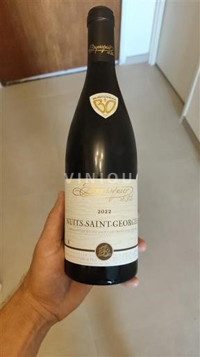 Borgonha Nuits-Saint-Georges Dupasquier & Fils 2022