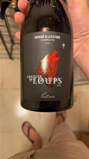 Jura Nespecifikováno Domaine La Pâturie Gueules de Loups 2021
