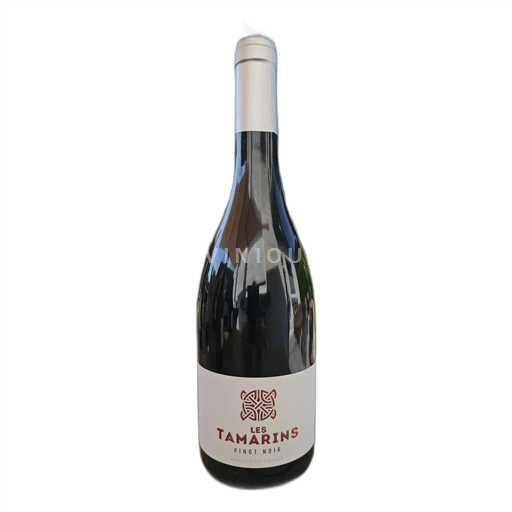 Languedoc Ospecificerad Gilles cantons Icke årgångsbetecknad