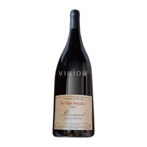 Valle del Loira Bourgueil Domaine Bel Air Les Vingt lieux dits 2023