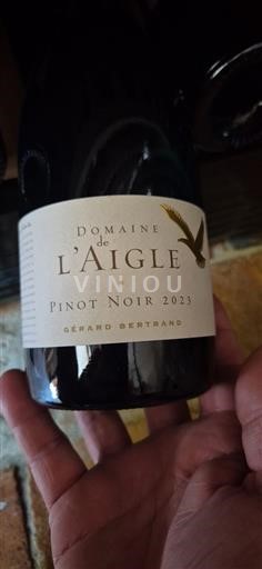 Languedoc Không được chỉ định Domaine L'Aigle Pinot noir 2023