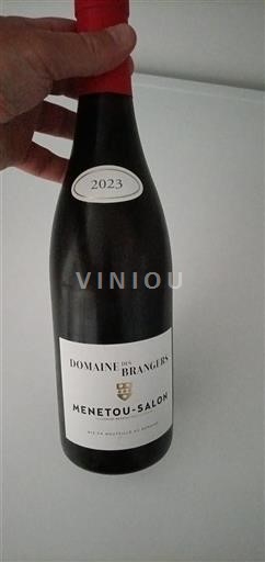 Vin Rouge sec Domaine Des Brangers 2023 France Vallée de la Loire Menetou-salon AOC