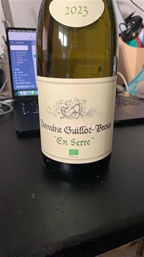 Bourgogne Mâcon och Mâcon-Villages Domaine Guillot-Broux En Serre 2023
