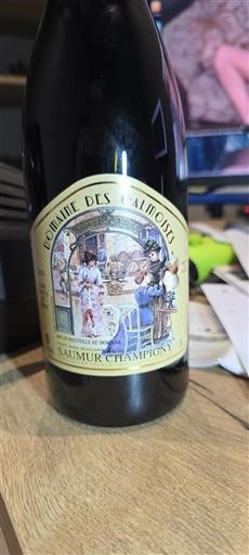 Loiretal Saumur-Champigny Domaine Des Galmoises Octavie 2018