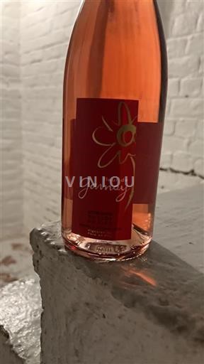 Beaujolais Domaine Clos du Fief Fleur de Gamay Senza annata