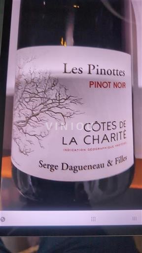 Loiretal Côtes de la Charité Serge Dagueneau & Filles Les Pinottes 2022