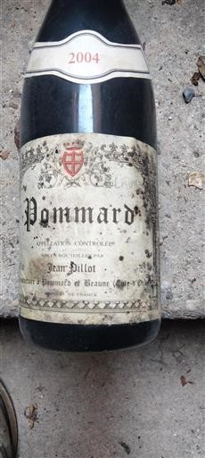 Burgundija Pommard Jean Pillot 2004