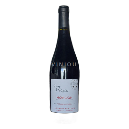 Beaujolais Morgon Arnaud Aucoeur Terre de Roches 2022