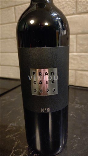 Toskana Nespecificirano Brancaia N°2 2023